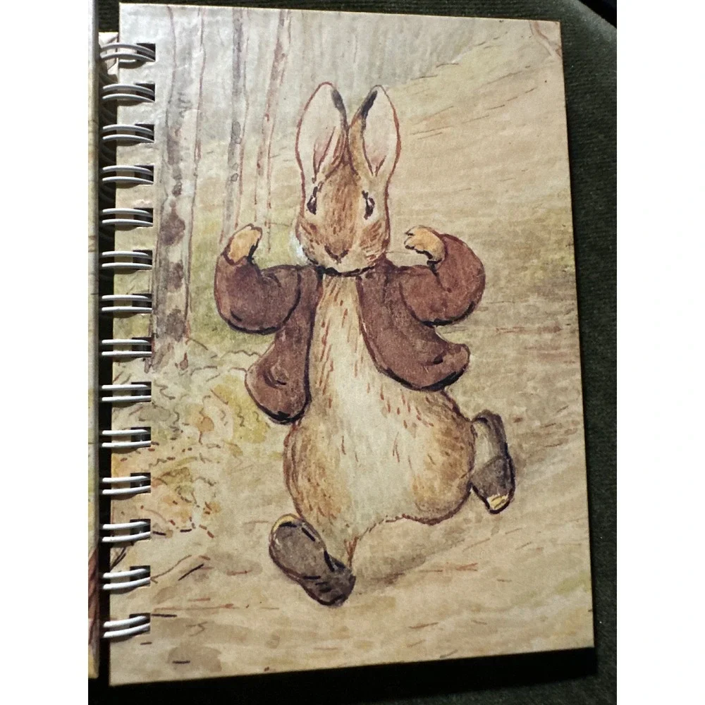 Vtg 1994 Beatrix Potter set of 3 Spiral Notebook Journal Frederick Warne & Co.